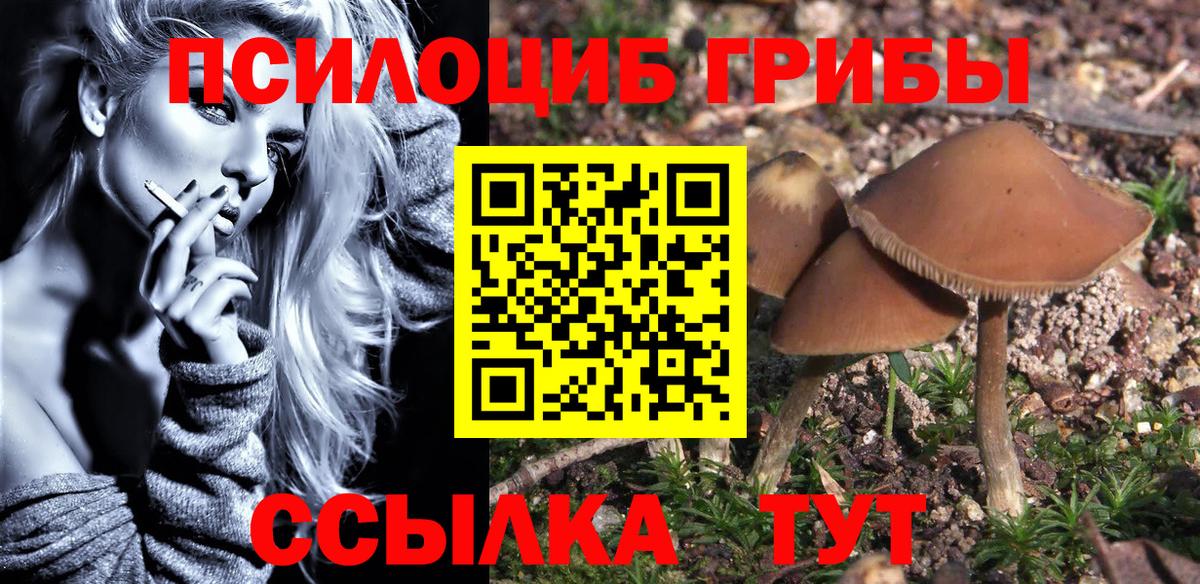 Каспийск  дарнет шоп  Вход с VPN  Галлюциногенные грибы прущие грибы 