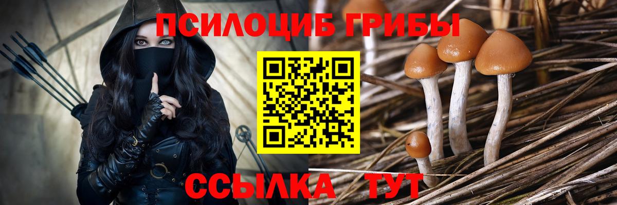 Псилоцибиновые грибы мицелий Каспийск